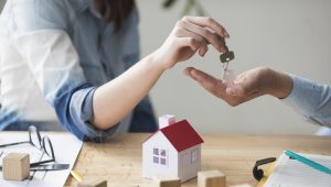 Property Market prediction and cyber security for 2022.