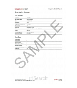 Credit Report Sample Image